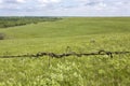 Barbed wire fence detail, Flint Hills, Kansas Royalty Free Stock Photo