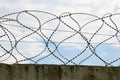 Barbed wire on the fence. Fencing stainless steel Barb Wire with sharp edges on a massive concrete wall for security Royalty Free Stock Photo