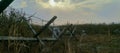 barbed wire fence in the field