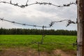 Barbed wire fence in field