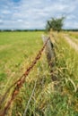 Barbed wire fence at a field edge. Royalty Free Stock Photo