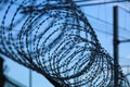Barbed wire Royalty Free Stock Photo