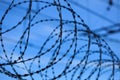Barbed wire Royalty Free Stock Photo
