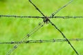 Barbed wire fence on green blurred background