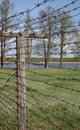 The barbed wire fence. Royalty Free Stock Photo