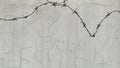 rusty barbed wire isolated on white wall background. Royalty Free Stock Photo