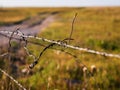 Barbed Wire Fence on Kansas Prairie