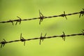 Barbed Wire Fence Royalty Free Stock Photo