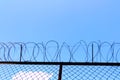 Barbed wire fence Royalty Free Stock Photo