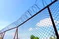 Barbed wire fence Royalty Free Stock Photo