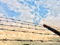 The barbed wire fence in the middle of the rice fields and evening sky