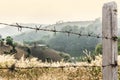 Barbed wire fence with nature background