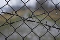 Barbed wire fence over background of blurred way to freedom