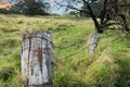 Meadow with wire fence