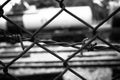 Barbed Wire Fence. Prison Fence in Black and White Closeup.