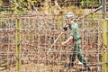 Barbed wire, a fence in prison and the silhouette of a prison guard on the background Royalty Free Stock Photo