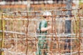 Barbed wire, a fence in prison and the silhouette of a prison guard on the background Royalty Free Stock Photo