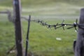 Barbed wire fence with raindrops on a blurred background Royalty Free Stock Photo