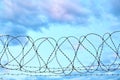Barbed wire fence and restricted area. Cute sky and territory under protection. Prison and refugee idea, copy space