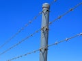 Barbed wire fence Royalty Free Stock Photo