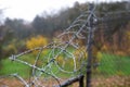 Barbed wire on a fence