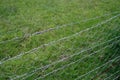 Barbed Wire fence, side angle