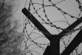 Silhouette of Barbed Wire fence against a Cloudy Sky Royalty Free Stock Photo