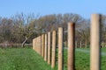 Barbed wire fence and a single tree