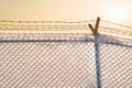 Barbed wire fence with snow at sunset. Royalty Free Stock Photo