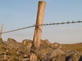 Barbed wire fence on stone wall Royalty Free Stock Photo
