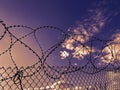 Barbed wire fence. Stretched and wound metal wire. Concept of injustice, prison, restriction of rights and freedoms. Royalty Free Stock Photo