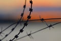 Barbed wire fence at sunset Royalty Free Stock Photo