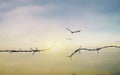 Barbed wire fence with sunset Twilight sky. Broke spike change transform to bird boundary concept for human rights slave prison