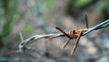 Barbed wire on fence to feel worrying. Barbed wire. Royalty Free Stock Photo