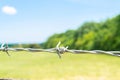 Barbed wire on the fence to a field in summer in England Royalty Free Stock Photo