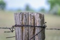 Old barbed wire fence and wood post on farm Royalty Free Stock Photo