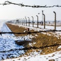 Barbed wire fence which lines path of the railway line leading into Auschwitz II-Birkenau