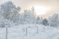 Barbed wire fence in a winter landscape with snow and frost Royalty Free Stock Photo