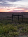 Yellow Wildflowers, Fence and a Brilliant Sunset Royalty Free Stock Photo