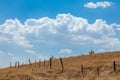 Barbed wire Fenceline and blue sky Royalty Free Stock Photo