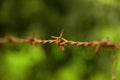 Barbed wire fencing with farmland behind it