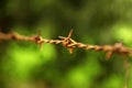 Barbed wire fencing with farmland behind it