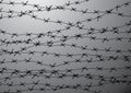 Barbed wire fencing. Fence made of wire with spikes. Black and white illustration to the holocaust. Console camp.