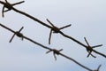 Barbed wire fencing. Fence made of wire with spikes. Illustration to the holocaust. Objects photo.
