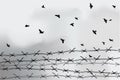 Barbed wire fencing. Fence made of wire with spikes. Black and white illustration to the holocaust. Console camp. Royalty Free Stock Photo