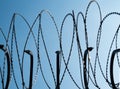 Barb wire fencing, on blue sky background.