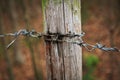 Barbed Wire Fencing with Post Full Frame