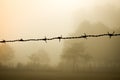 Barbed wire in foggy landscape