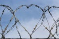 Barbed wire in the form of a heart