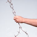 Barbed wire Royalty Free Stock Photo